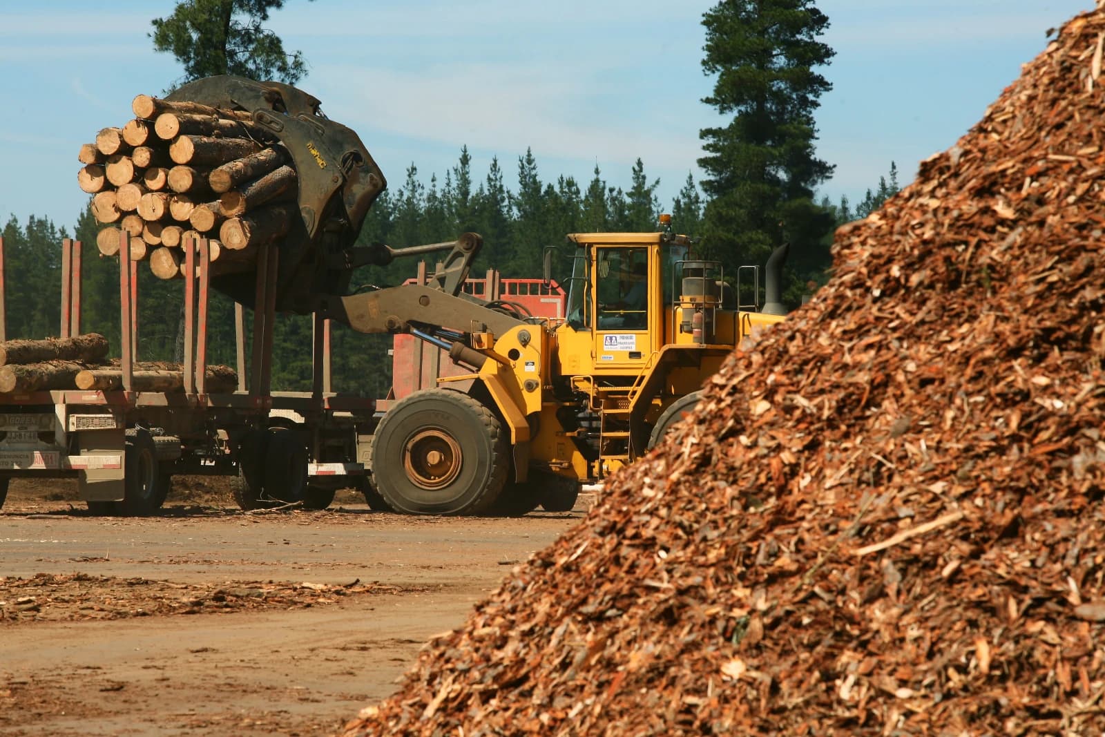 Opinión: La Provincia de Corrientes impulsa su industria forestal y la biomasa