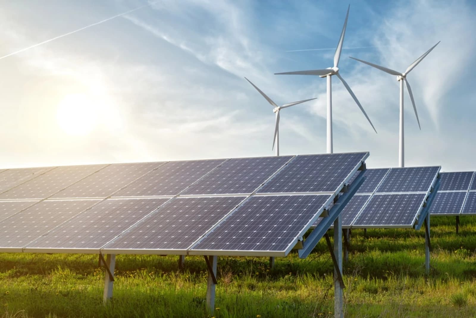 MATER: ya se cerraron contratos entre privados por un total de 103.586,6 MWh