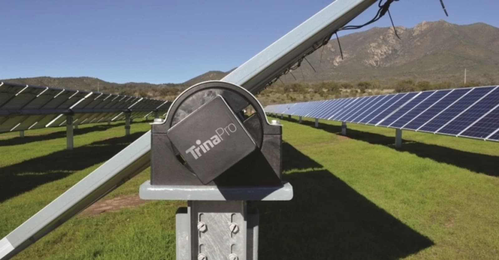 Trina Solar apuesta por el mercado argentino: se enfoca sobre las licitaciones RenovAr y Generfé