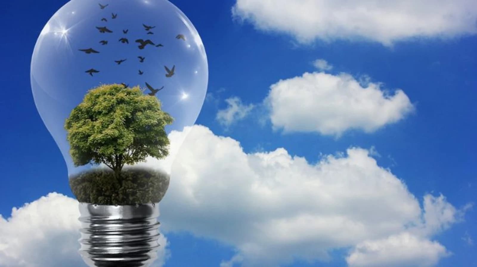 ¿Qué aspectos contribuirán a impulsar las renovables en 2023 en México?