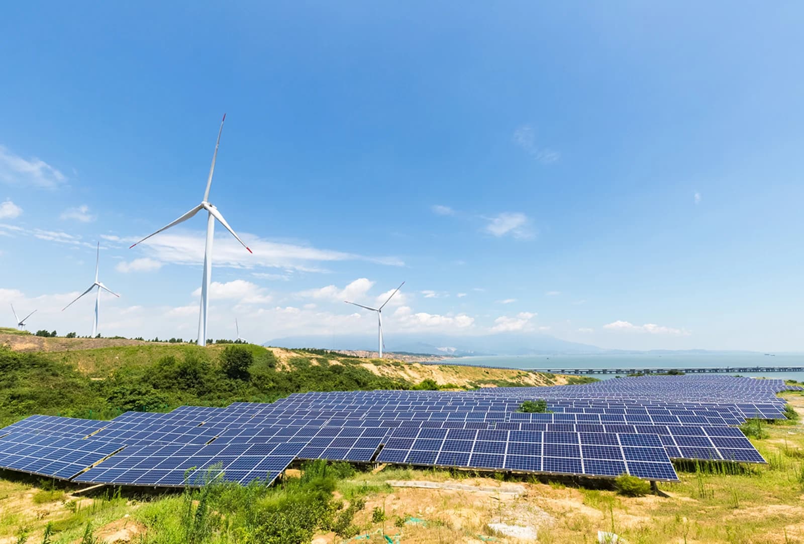 Diez empresas compiten por la construcción de cinco plantas fotovoltaicas y eólicas con baterías en Argentina