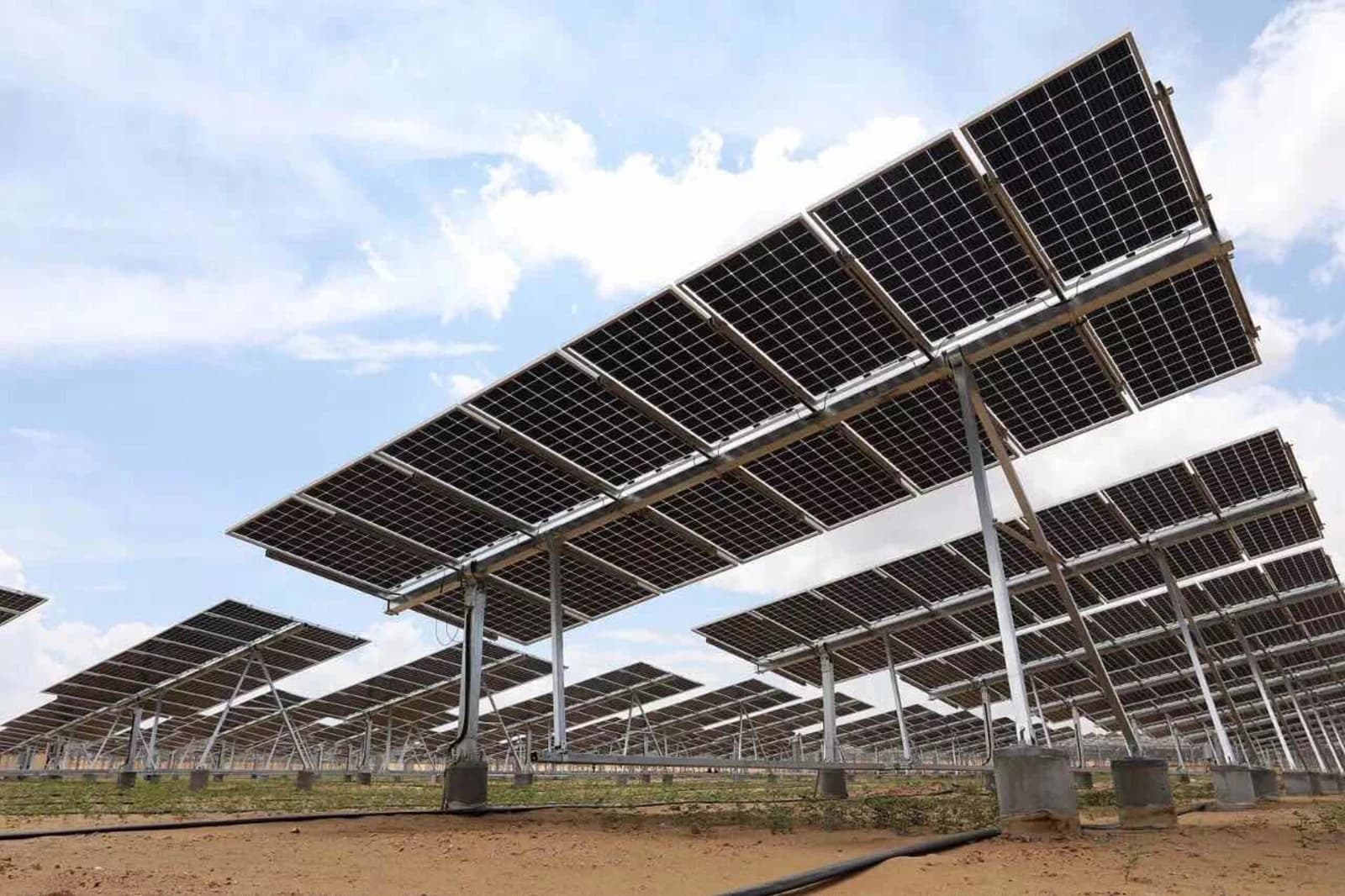 LONGi apuesta al crecimiento de la demanda solar en México: prevé lanzar productos con potencias superiores e incrementar ventas
